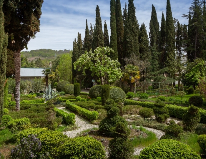 Санаторно-курортный комплекс «Знание» Сочи