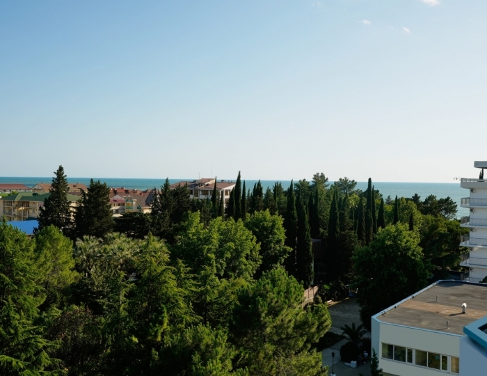 Комфорт Комфорт 2-местный TWIN  с видом на Море - Санаторно-курортный комплекс «Знание» Сочи